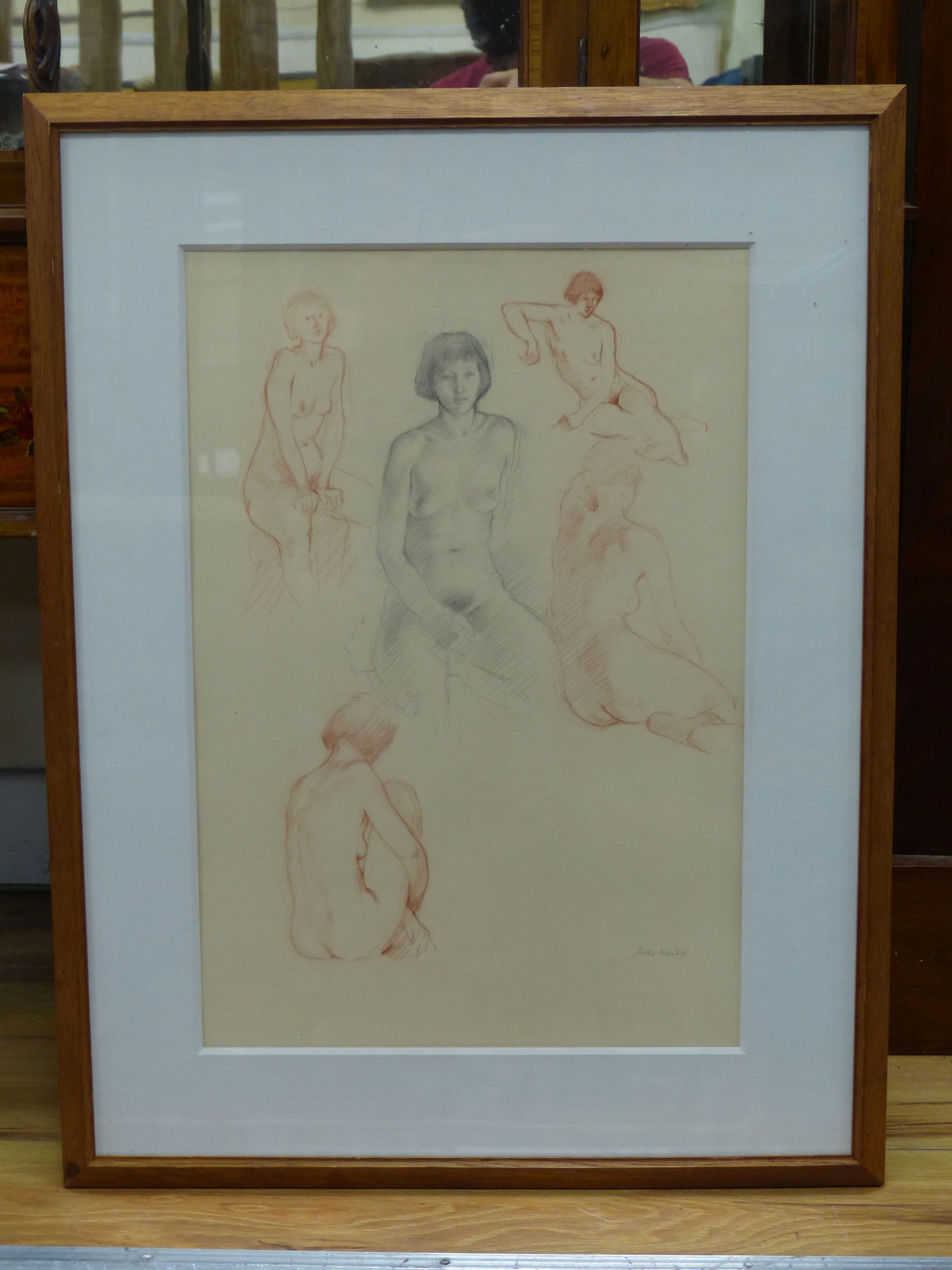 Peter Wardle, pencil and sepia chalk, Female nude studies, signed, 46 x 31cm